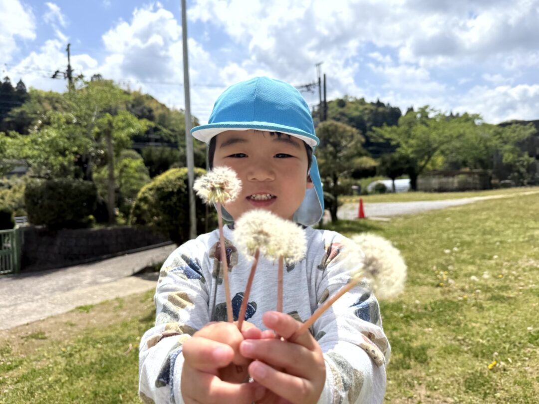 草花や虫との出会い