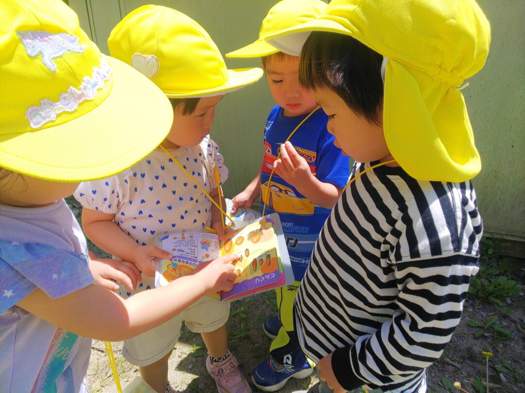 図鑑でどんぐりを調べる園児